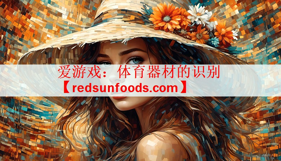 爱游戏：体育器材的识别