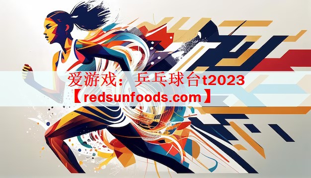 乒乓球台t2023